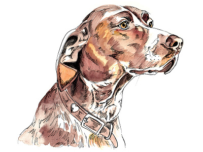 Pup 3 dog illustration pet portrait watercolor