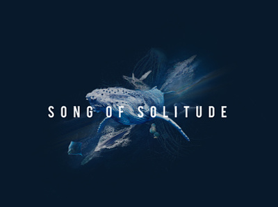Song Of Solitude design graphic design illustration