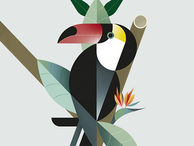Toucan animal green illustration nature sustainability sustainable vector