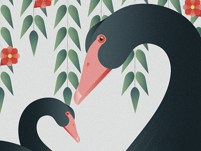 Black Swan - Parco Natura Viva animal green illustration nature parconaturaviva sustainability sustainable swan vector