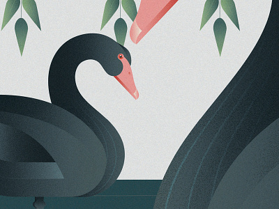 Black Swan - Parco Natura Viva animal green illustration nature parconaturaviva sustainability sustainable swan vector