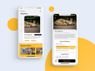 Animals for Adoption app design ui