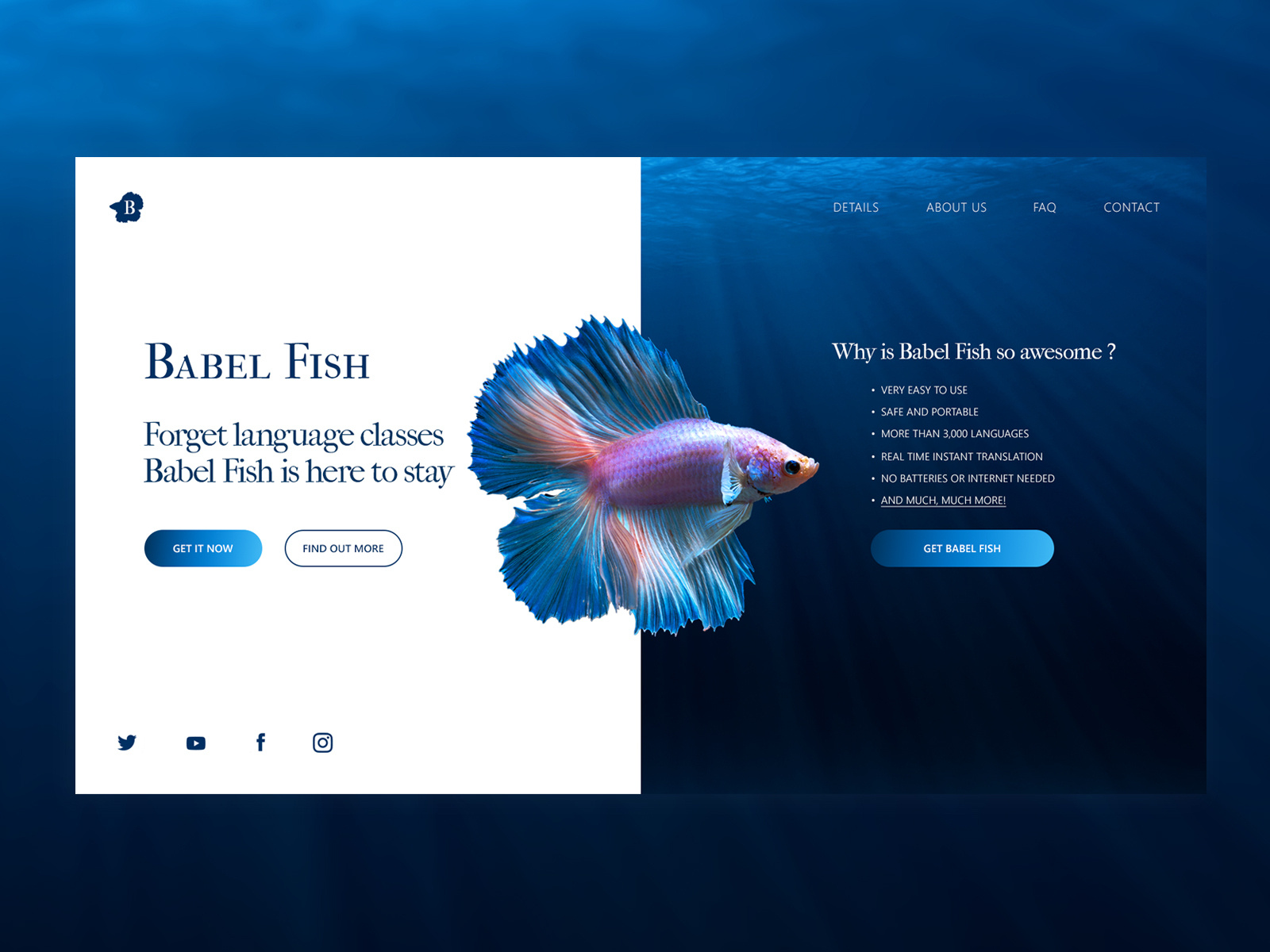 Babel Fish Landing Page by Dani L on Dribbble