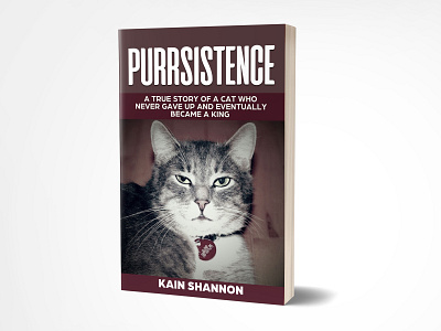 Purrsistence 3dbookcover book bookcover cover design ebook fiverr fiverr.com fiverrs graphic graphicdesign illustration kdp kindle kindlecover professionalbookcover