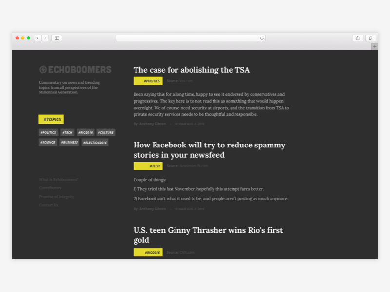 Echoboomers Blog Concept website blog web design