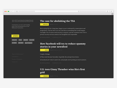 Echoboomers Blog Concept blog web design website