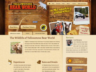 Yellowstone Bear World design wordpress