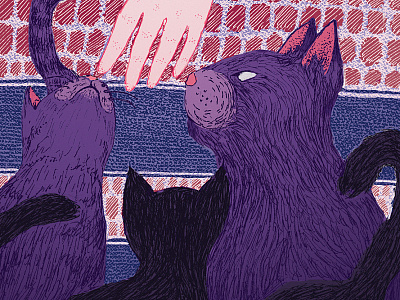 Empress cats editorial art editorial illustration illustration