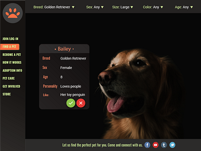 Doggy Website dog ui website