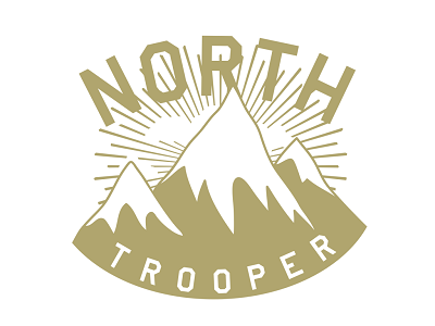 North Trooper a nerds world creative agency toronto graphic design toronto logo design toronto seo toronto toronto website design toronto