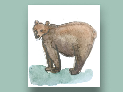 bear card