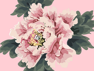 pink n.2 - pink on pink botanic botanical botanical illustration contrast design digital art digital illustration drawing flower flower illustration illustration peony pink vector