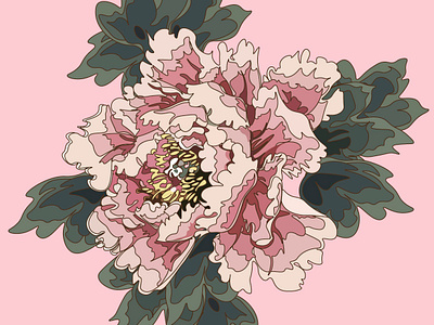 pink n.1 botanical botanical art botanical illustration botanicals contrast design digital art digital drawing digital illustration drawing flower flower illustration illustration vector