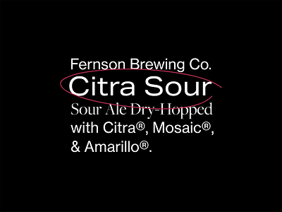 Citra Sour Concept 01 beer beer can brand branding type type design typogaphy