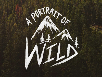A Portrait of Wild illustration mountains typography