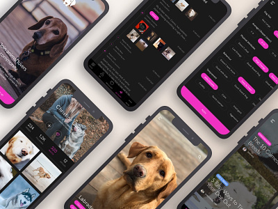 Social Dog Care App android mobile design concept dog ios social