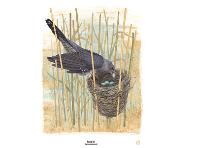 kakukk animals bird digital painting illustration