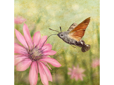 lebeg s 9 digital painting illustration insects levitation nature