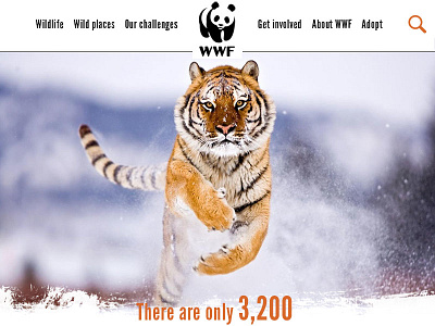 WWF website mock redesign tiger webdesign wwf