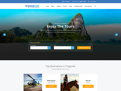 Travel Destination Web Landing Page branding design holidays outdoor travel ui