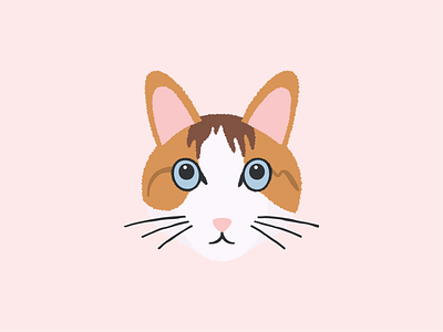 A-Mi the Cat illustration illustrator