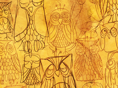 Owls art
