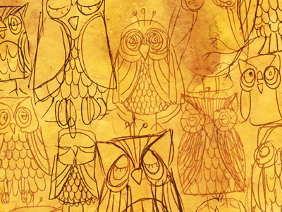 Owls