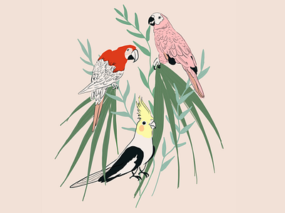 Parrot illustration