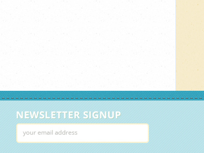 Footer of WP theme newsletter text box ui web design