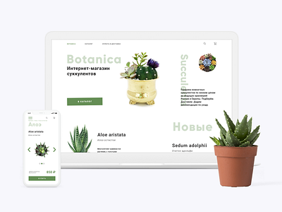 Succulents Online Store Site plants responsive ui web desing