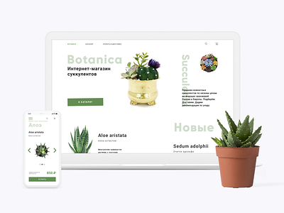 Succulents Online Store Site