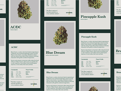 Session - Strain Cards cannabis cannabis branding classic print design