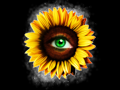 Sunflower Eye