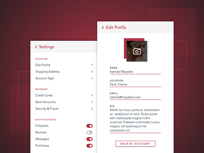 Daily UI, Settings daily ui garnet ruby settings