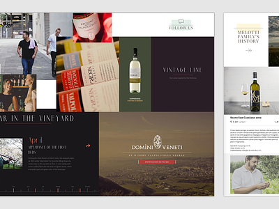 Mood boards for a Wine Merchant