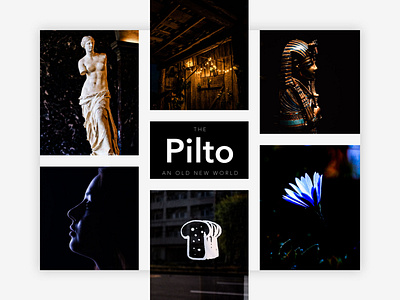 Pilto branding design flat typography ui ux web website website design