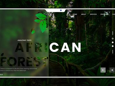 Design of - African forest travel website