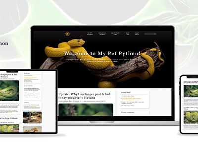 Python Blogging Website Design adobe ilustrator blogging front end development website website design