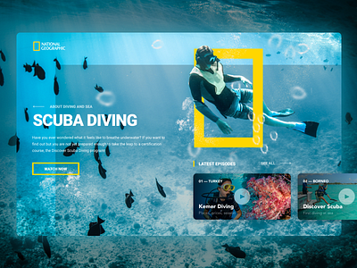 Scuba Diving - National Geographic design concept by Nikolaev Design on ...