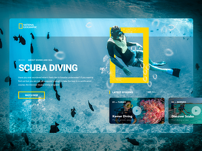 Scuba Diving - National Geographic design concept