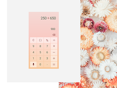 Calculator - Day 4 - 100 days of UI