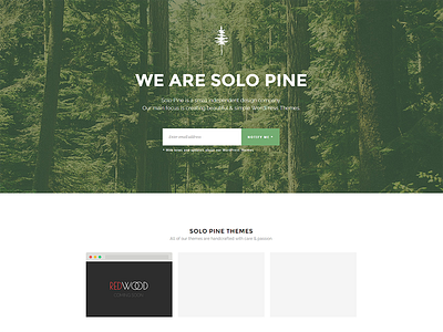 Solo Pine Website