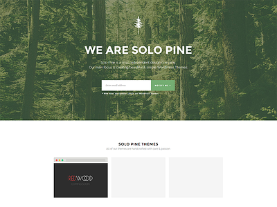 Solo Pine Website about about us connect follow forest illustration landing page newsletter pine subscribe themes website