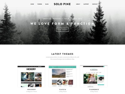 WIP: New SoloPine site