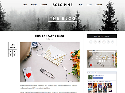 SoloPine Blog Post View
