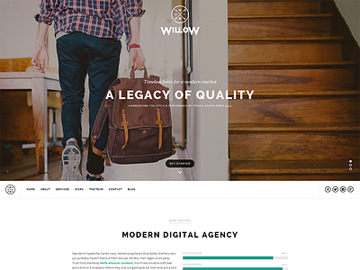 Willow a WordPress theme