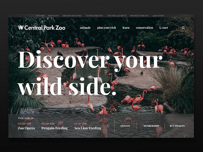 Central Park Zoo Page animal animals design graphic site ui ux zoo