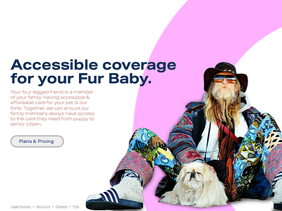 Pet Insurance Landing Page Mock Up design minimal photoshop typography ui ux web web design