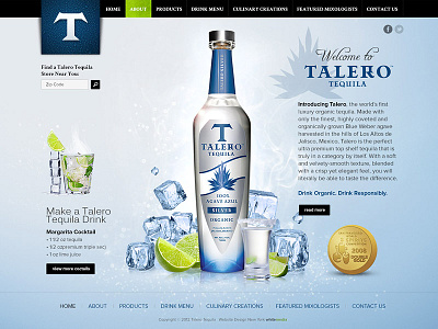 Website design for tequila project design homepage tequila website