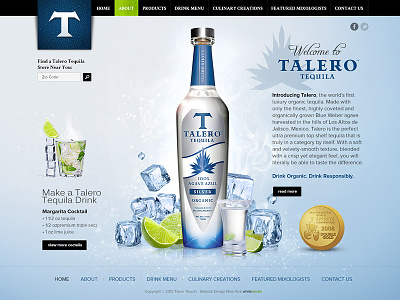 Website design for tequila project